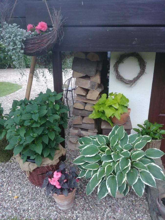 Pod Lasem Charzykowy Exterior foto